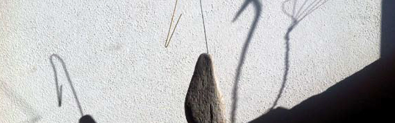frasconi_scheda_provv